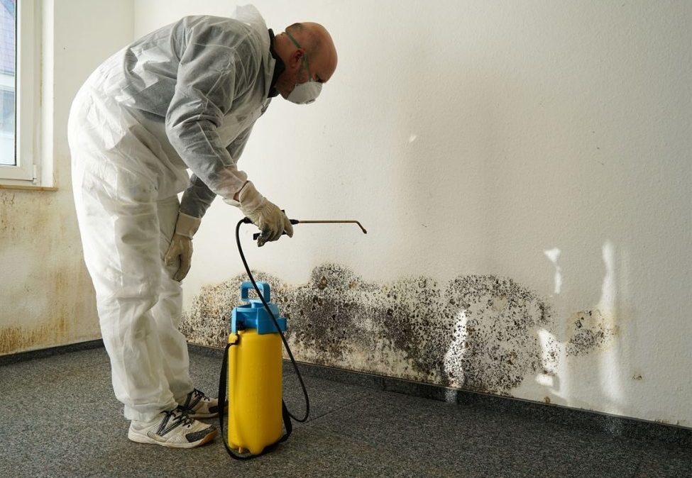 Дезинфекция избавление от плесени и грибка