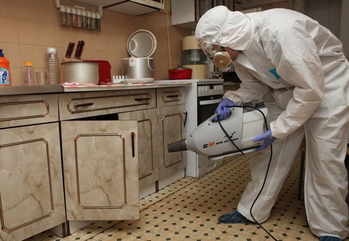 Дезинсекция помещений в Нижнем Новгороде