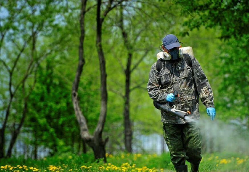 Акарицидная обработка избавление от клещей комаров